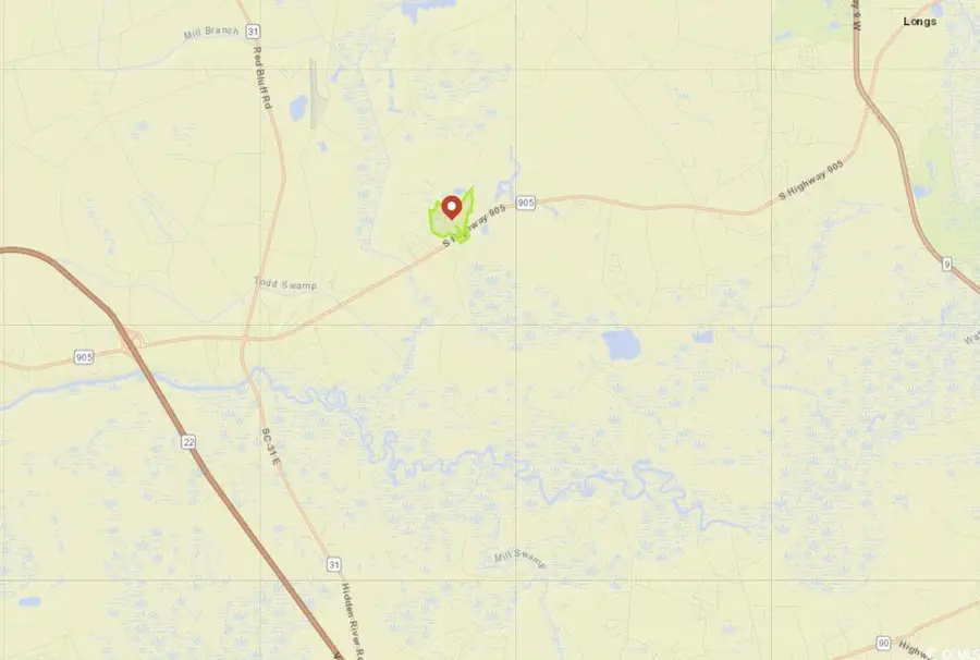 TBD Highway 905, Longs, SC 29568 - Image #2