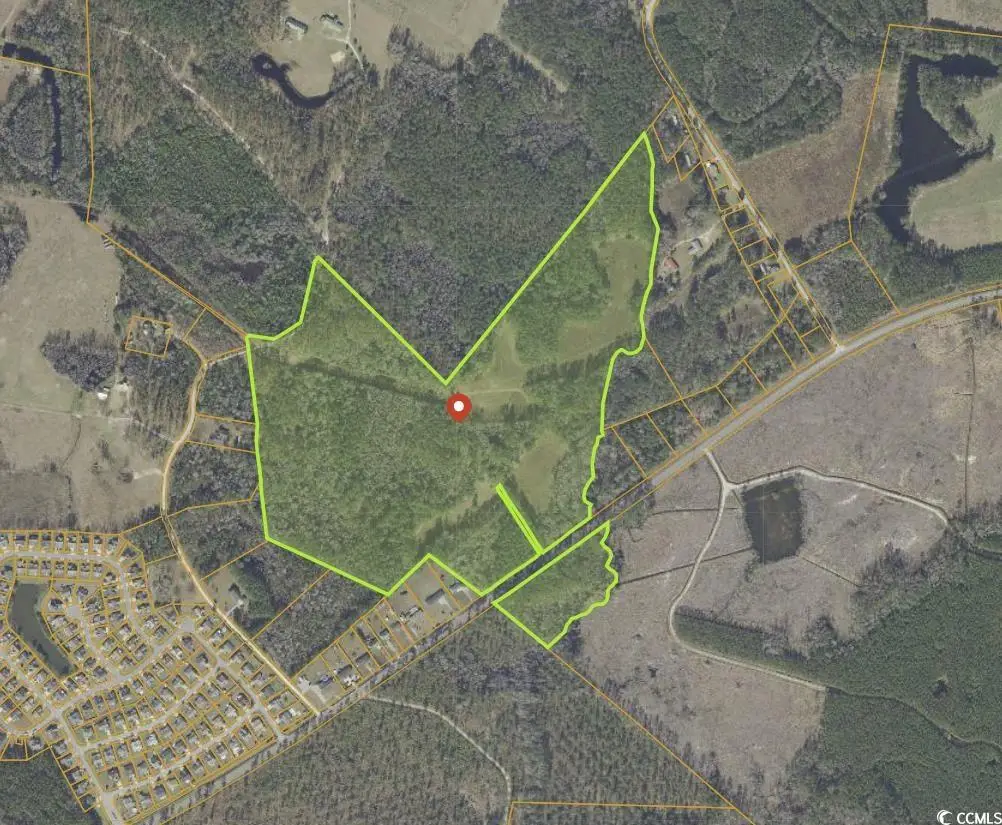 TBD Highway 905, Longs, SC 29568 - Image #1