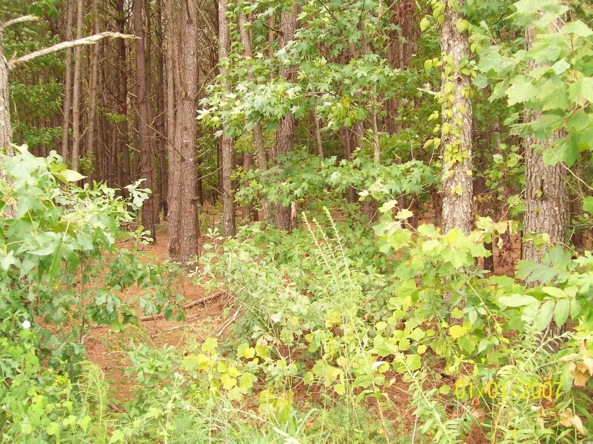 LOT 2 Riverbend Rd., Loris, SC 29569 - #1