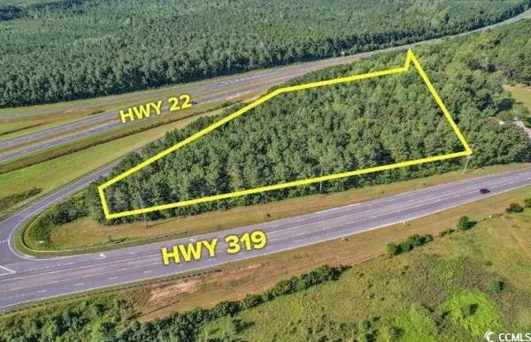 TBD Highway 319, Conway, SC 29526
