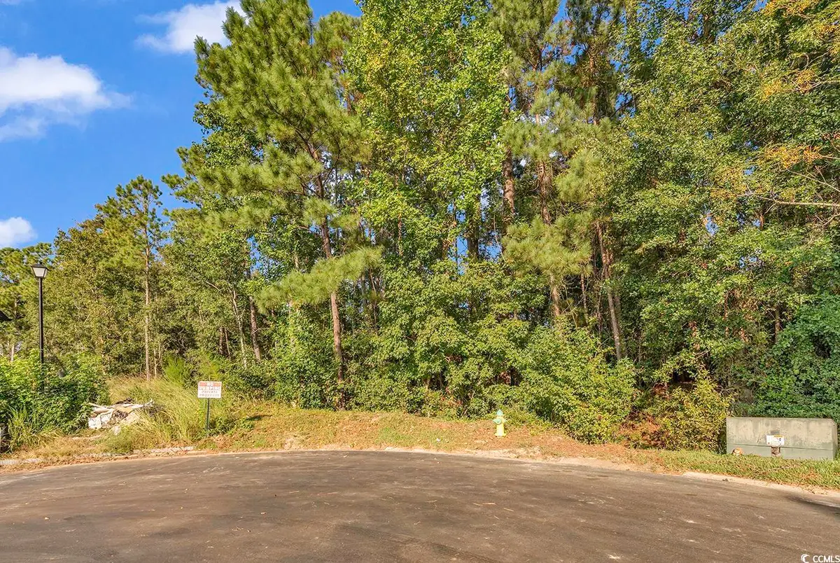 425 Pilot House Dr., Myrtle Beach, SC 29577 - #1