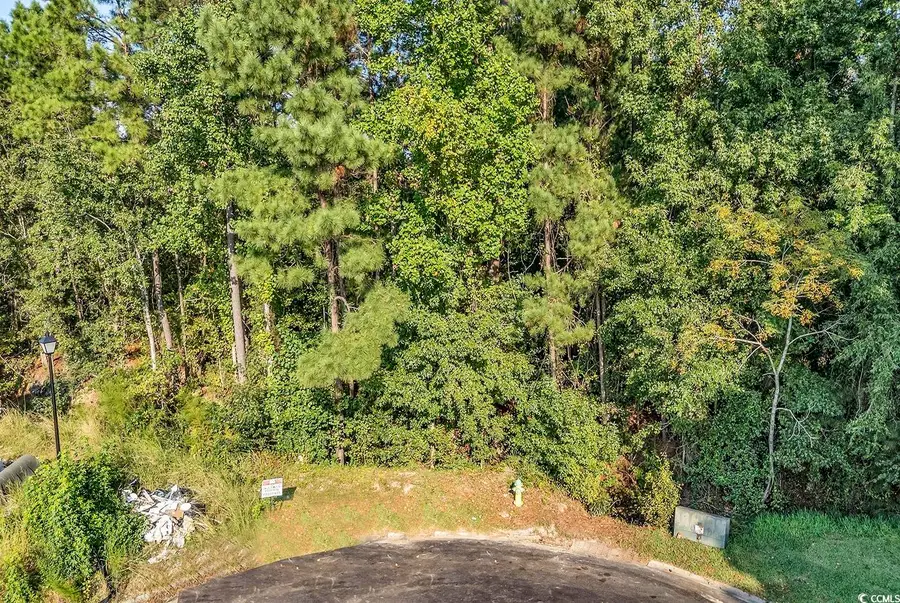 425 Pilot House Dr., Myrtle Beach, SC 29577 - #3