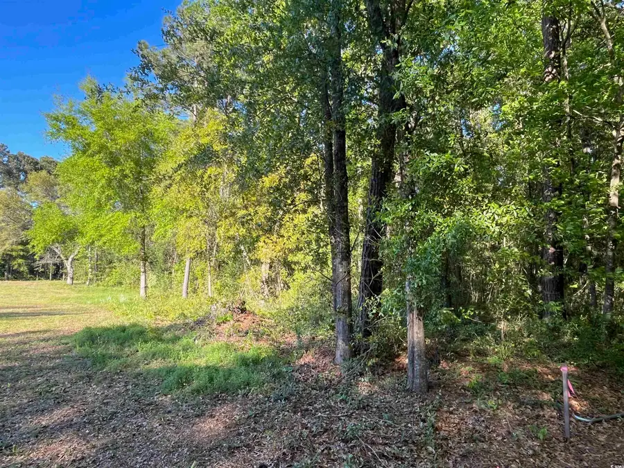 135 Ben Horry Trail, Pawleys Island, SC 29585 - Image #2