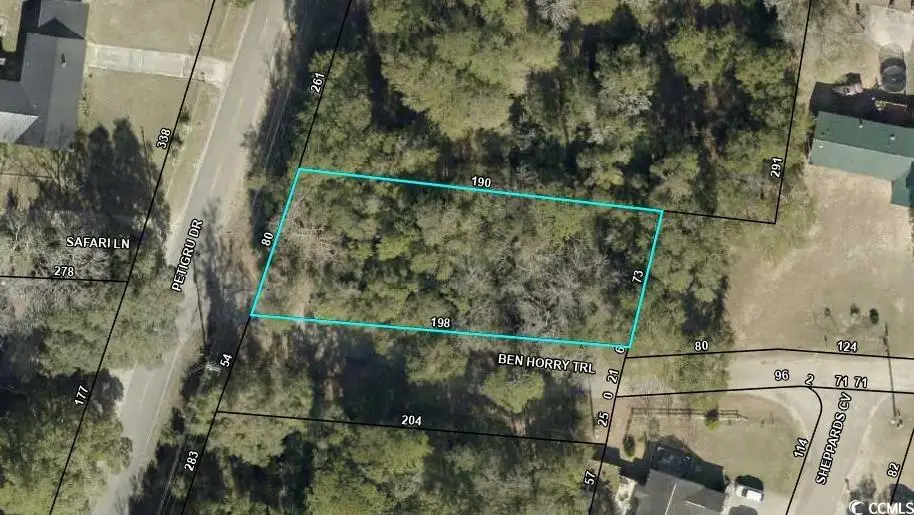 TBD Petigru Dr., Pawleys Island, SC 29585 - Image #1