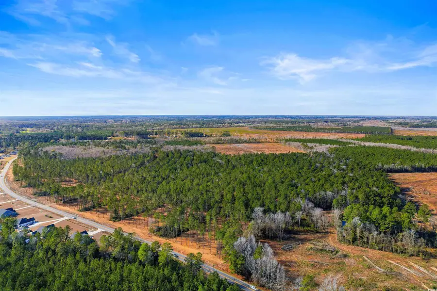 6.97 Acs Kates Bay Hwy., Conway, SC 29527 - #2