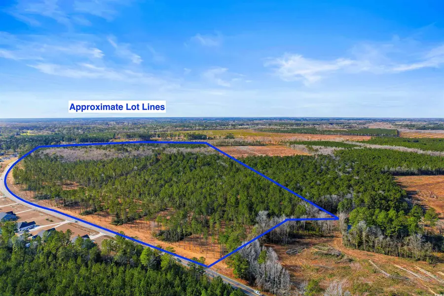 6.97 Acs Kates Bay Hwy., Conway, SC 29527 - #3