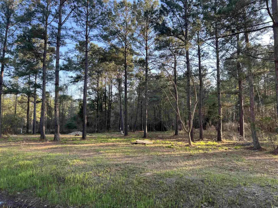 2108 Lees Landing Circle, Conway, SC 29526 - #2