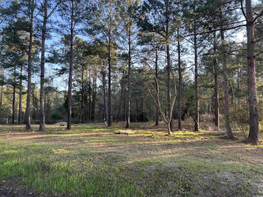 2108 Lees Landing Circle, Conway, SC 29526 - #3