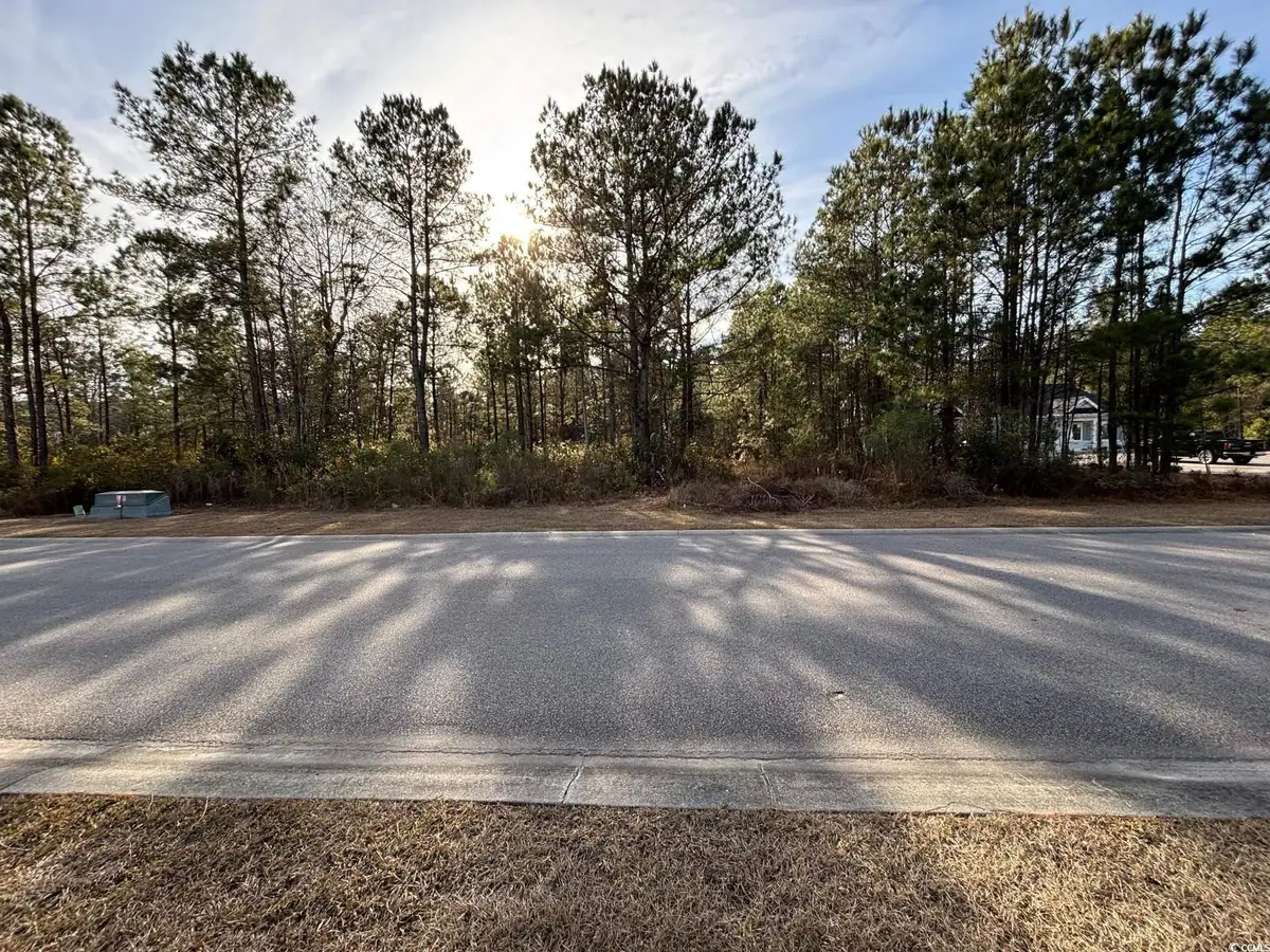 3045 New Castle Loop, Myrtle Beach, SC 29588 - #1