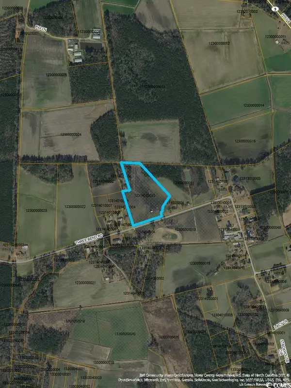 TBD Three Bend Rd., Nichols, SC 29581