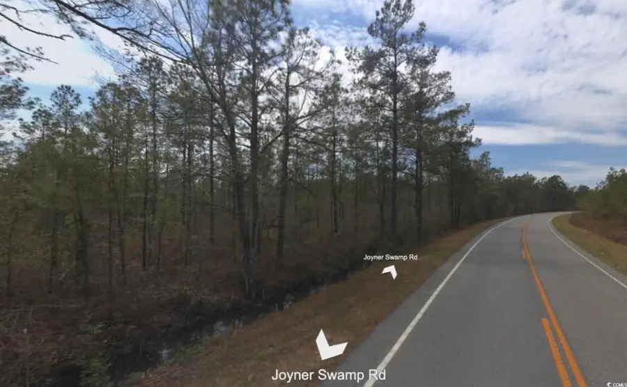 TBD Joyner Swamp Rd., Galivants Ferry, SC 29544 - Image #3