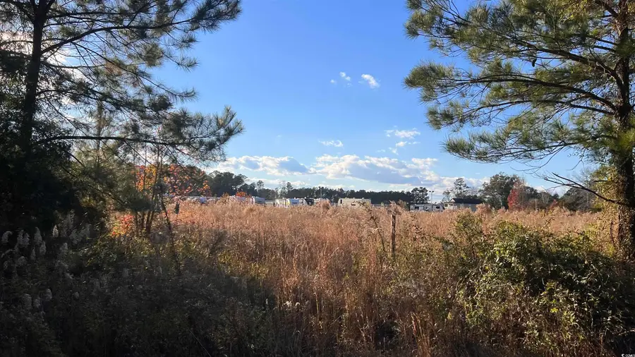 10.79 acres Highway 90, Longs, SC 29568 - #2