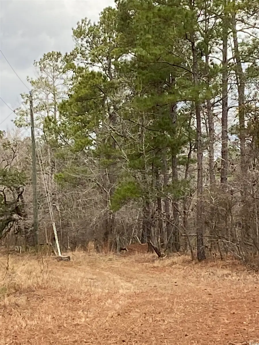 TBD Hidden River Rd., Longs, SC 29568 - Image #3