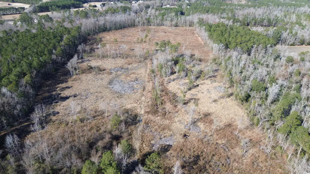 TBD Highway 905, Conway, SC 29526 - #1