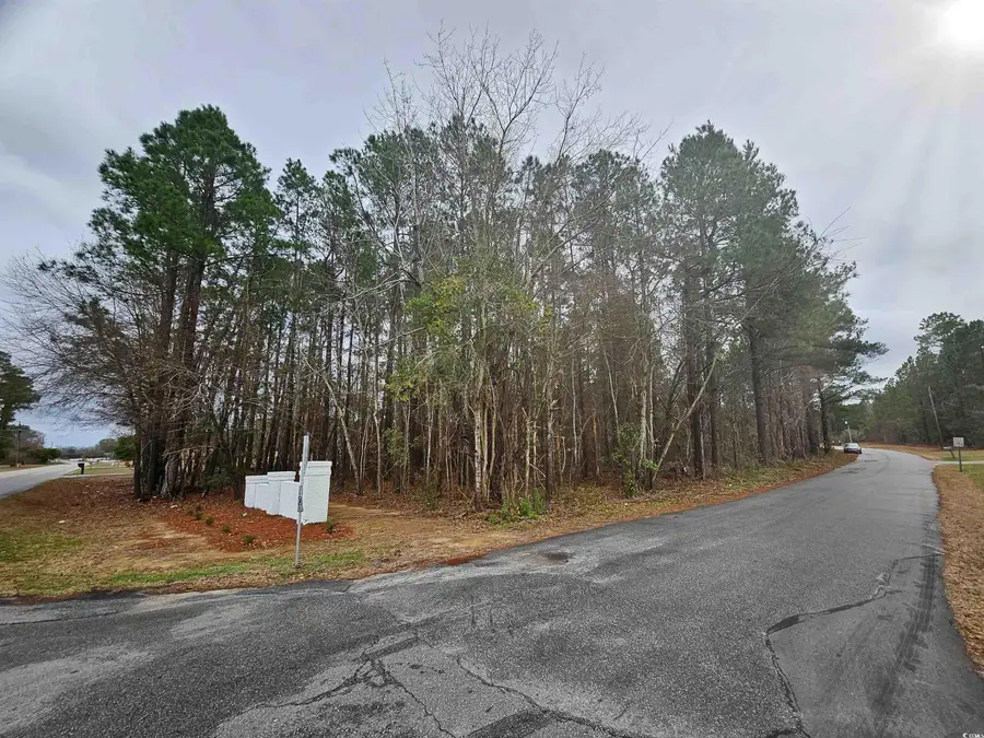 Lot 1 C Peach Tree Rd., Marion, SC 29571 - Image #2