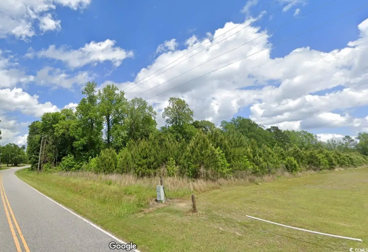 Parcel #1 Amber Ln., Galivants Ferry, SC 29544 - Image #1