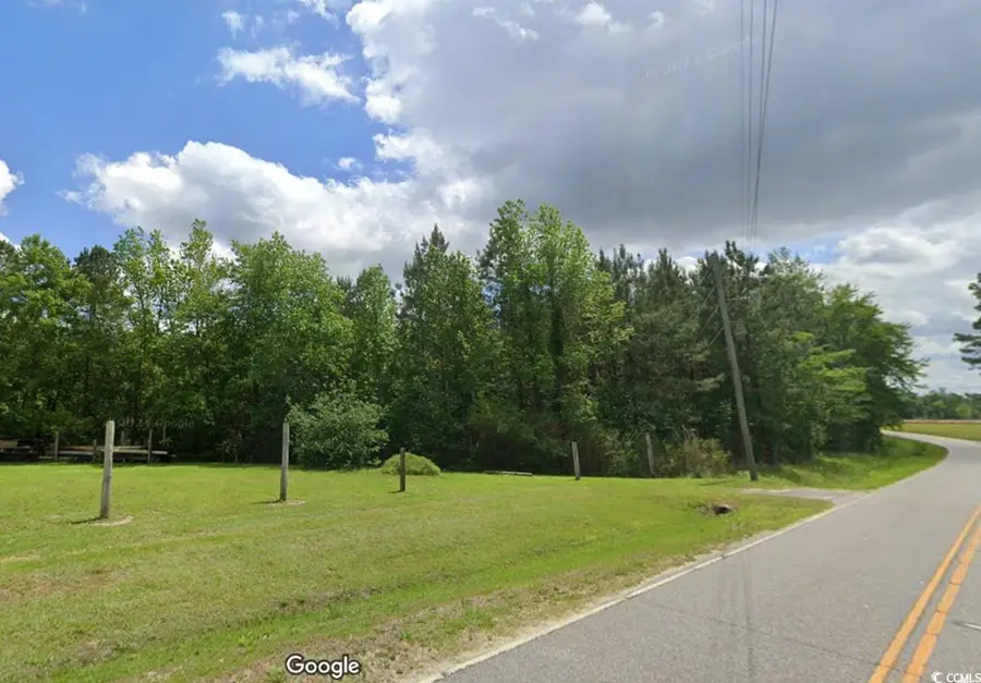 Parcel #1 Amber Ln., Galivants Ferry, SC 29544 - Image #3