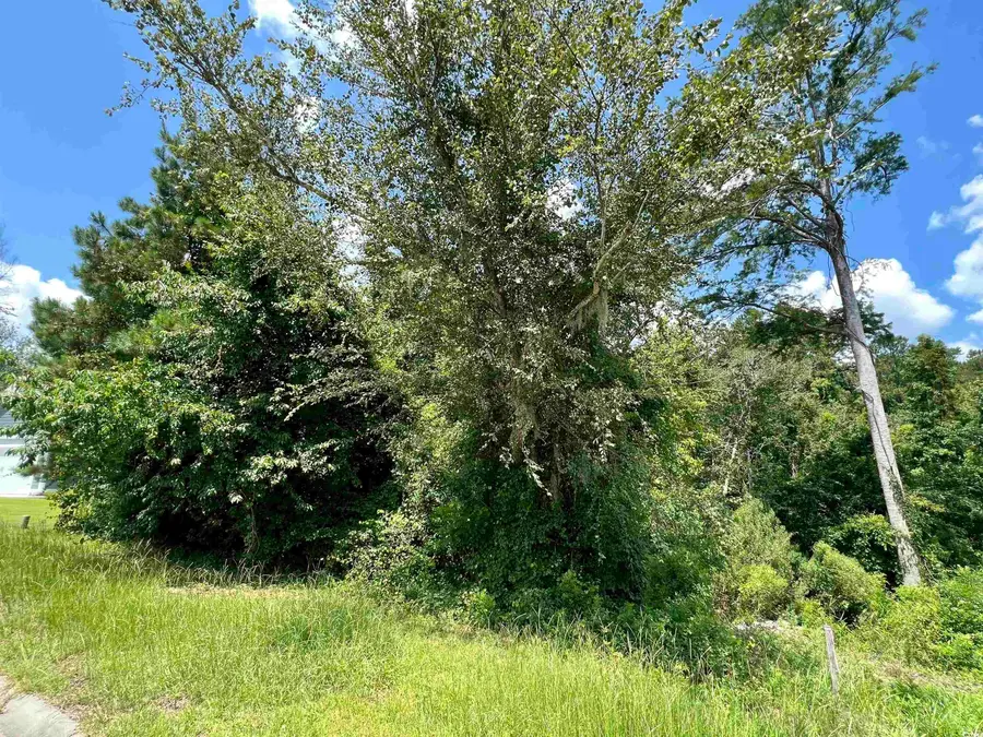 286 Rivers Edge Dr., Conway, SC 29526 - #2