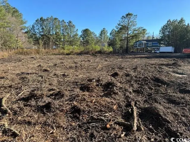 TBD Redmond Ct., Conway, SC 29526 - #2