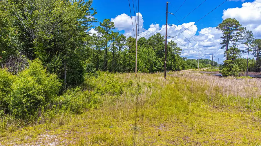 TBD Mount Pisgah Cemetery Rd., Conway, SC 29526 - #2