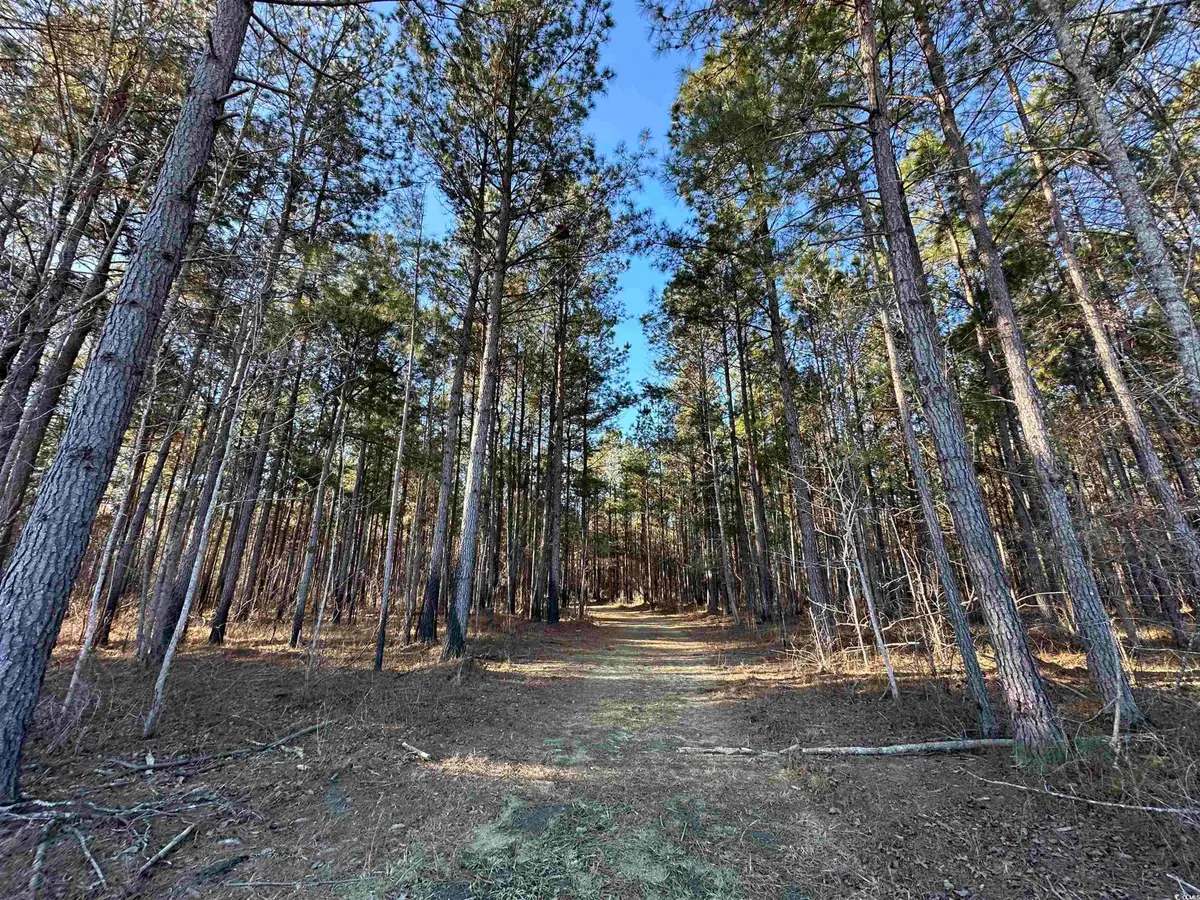 TBD Rocky Ford Rd., Salters, SC 29590 - Image #1