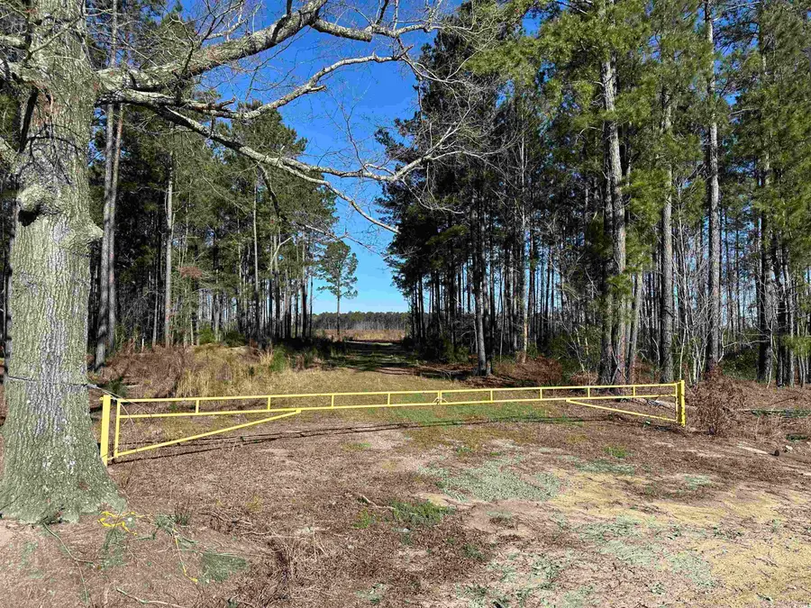 TBD Rocky Ford Rd., Salters, SC 29590 - Image #3
