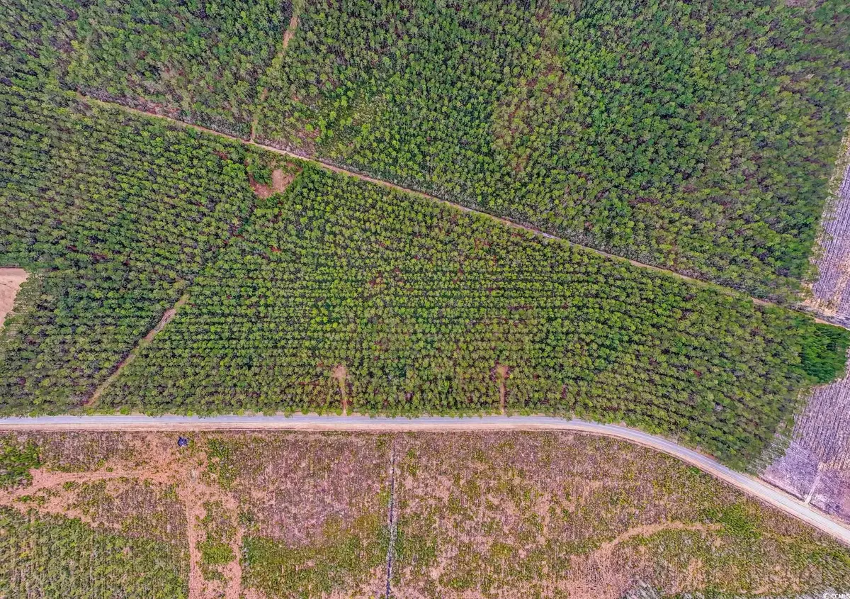 TBD Joyner Swamp Rd., Galivants Ferry, SC 29544 - Image #1