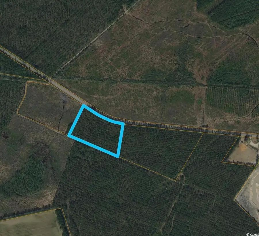 TBD Joyner Swamp Rd., Galivants Ferry, SC 29544 - Image #3