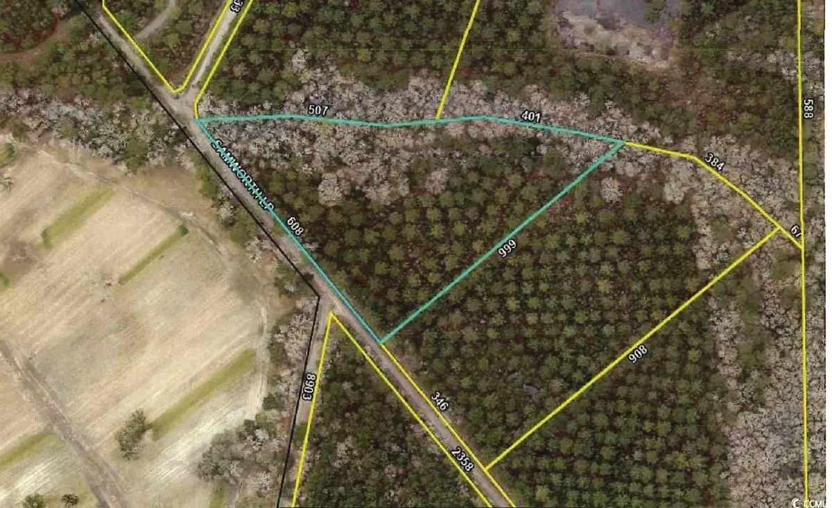Lot 9 Samworth Loop, Georgetown, SC 29440 - Image #1