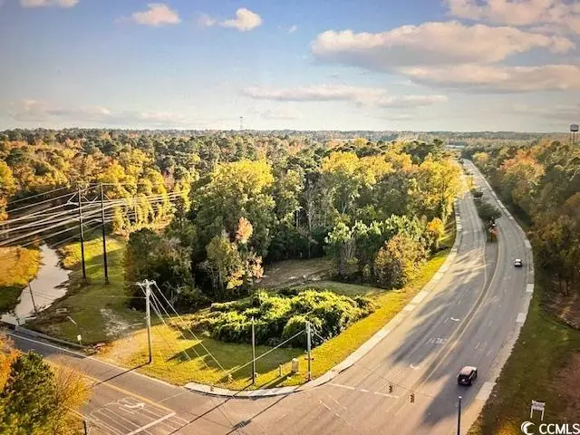 TBD Mill Pond Rd., Conway, SC 29526 - #2