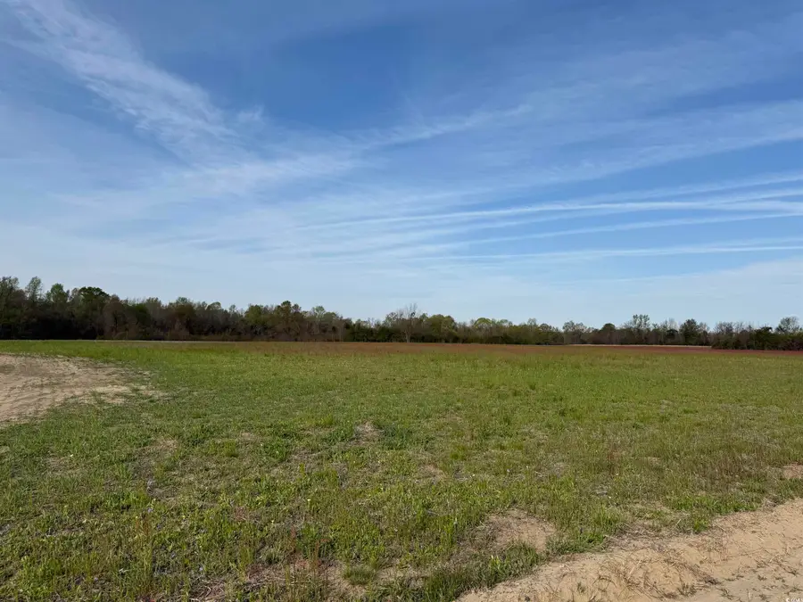 Phil Ct., Marion, SC 29571 - Image #2