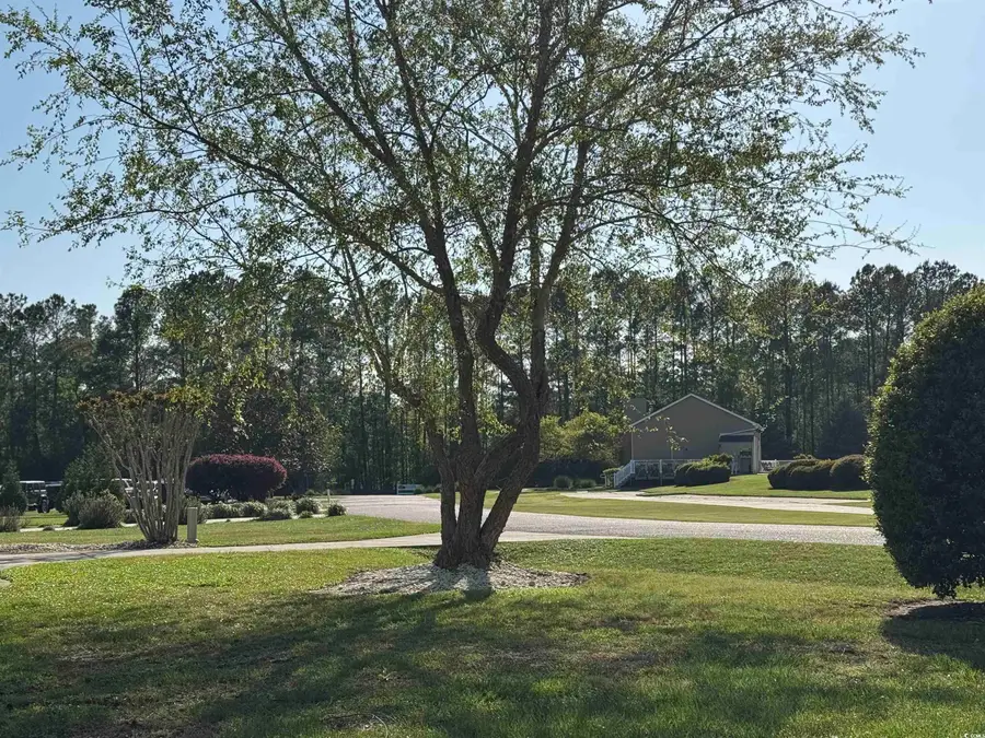 911 Shaftesbury Ln., Conway, SC 29526 - #3