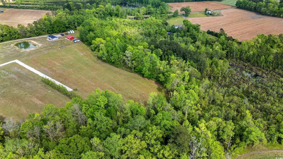 TBD Sheila Dr., Johnsonville, SC 29555 - Image #3