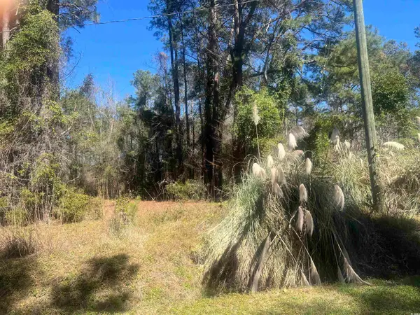 TBD Tillmond Dr., Conway, SC 29526