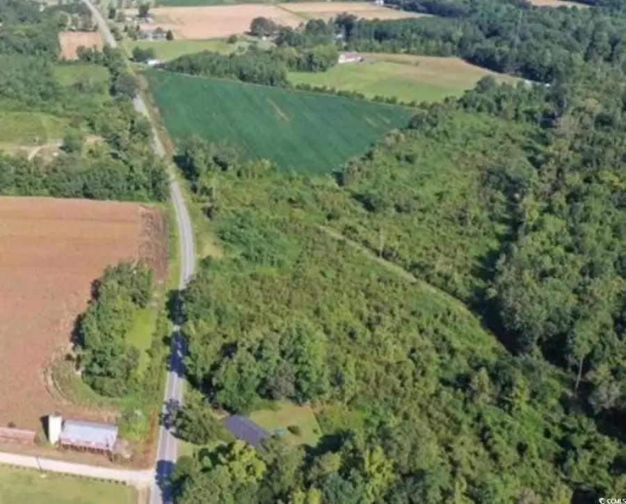 Tract 3 Borkowitz Rd., Scranton, SC 29591 - Image #2