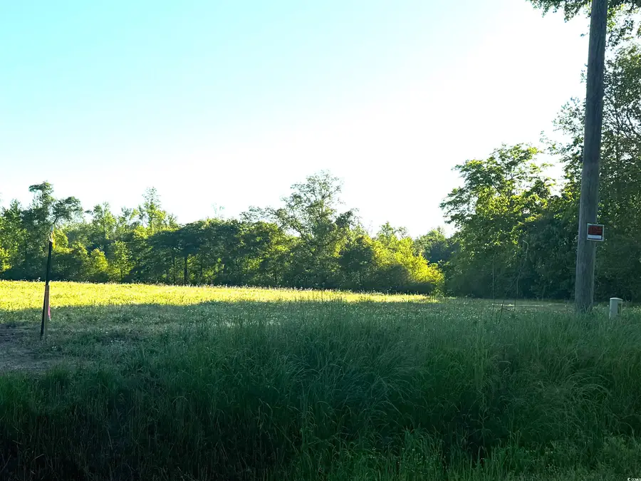 Tract 6 Borkowitz Rd., Scranton, SC 29591 - Image #3