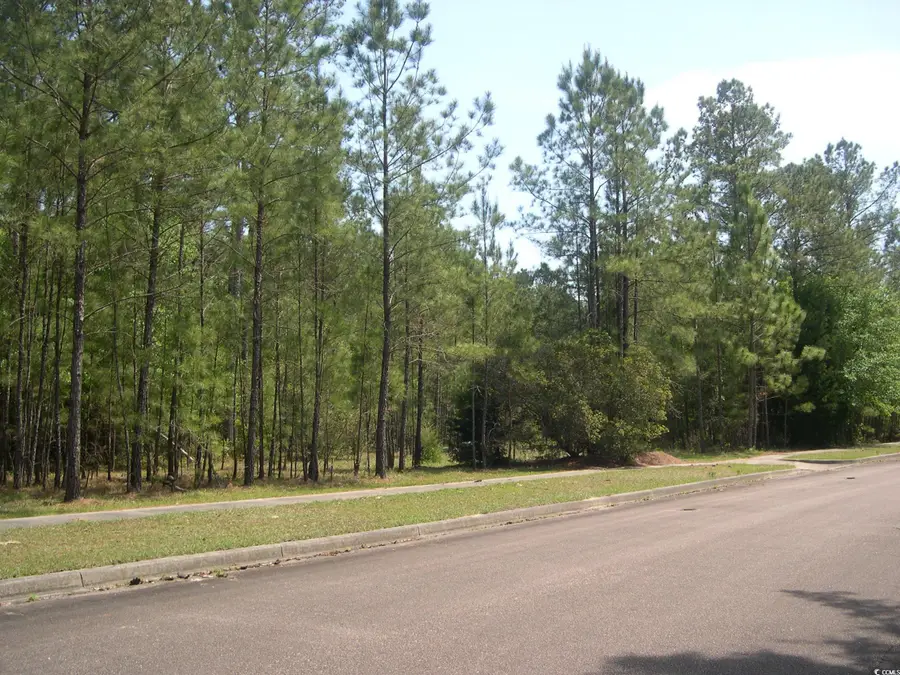 103 Pineberry Dr., Georgetown, SC 29440 - Image #2