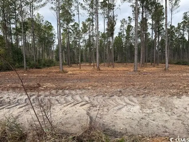 6.84 Acs Kates Bay Hwy., Conway, SC 29527 - #2