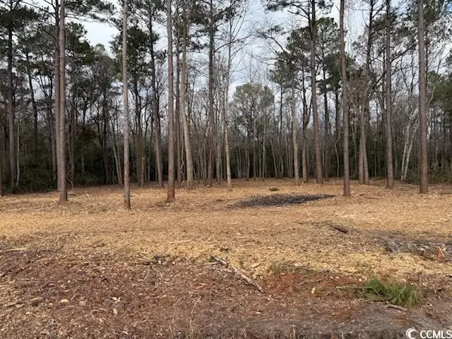 7.4 Acs Kates Bay Hwy., Conway, SC 29527 - #3