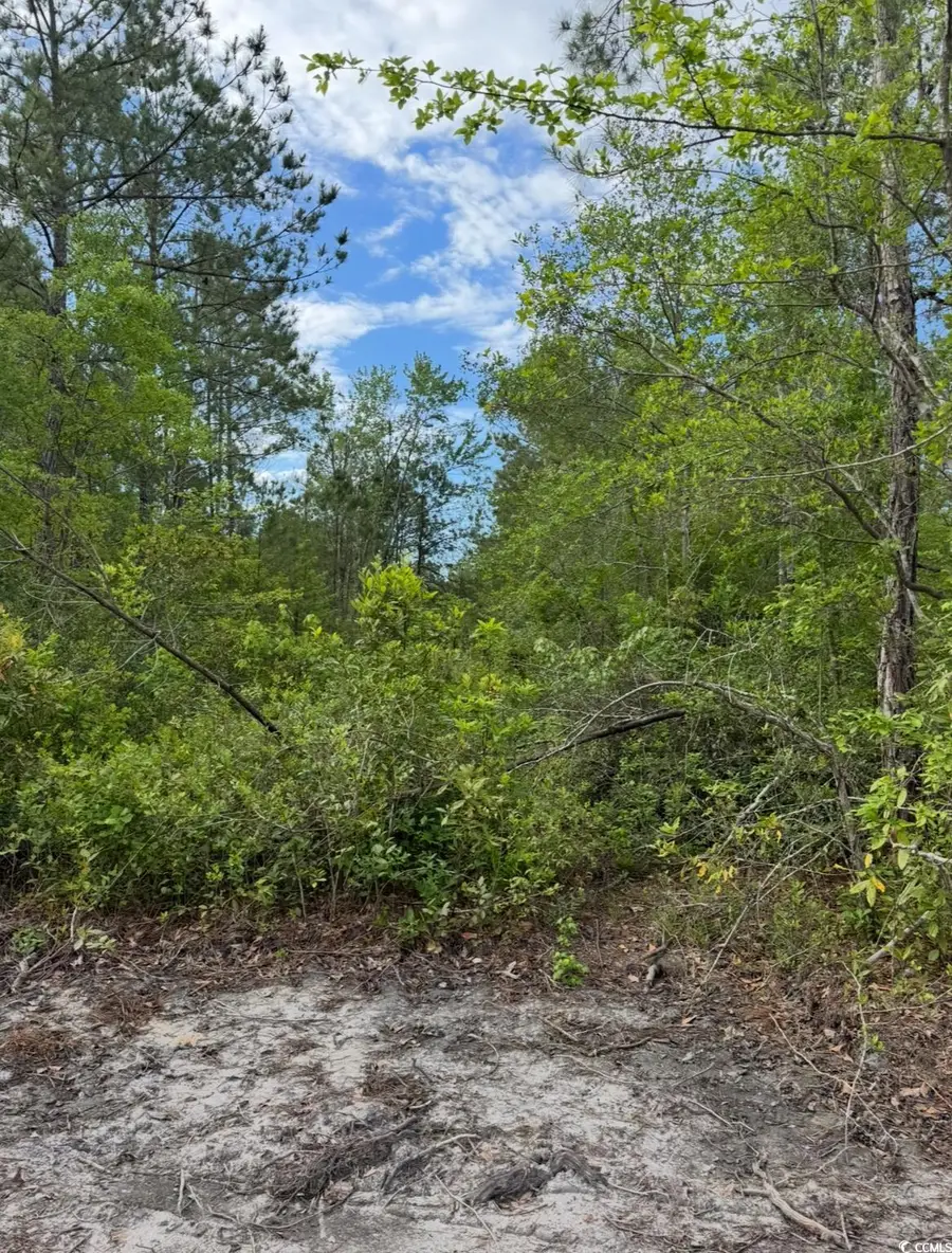 3204 Fowler School Rd., Loris, SC 29569 - Image #2