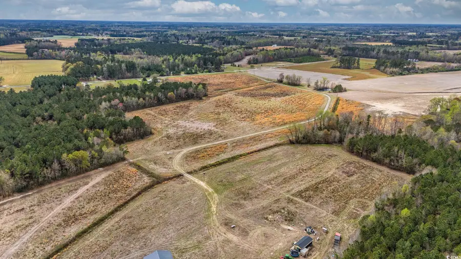 TBD Powell Rd., Green Sea, SC 29545 - Image #3