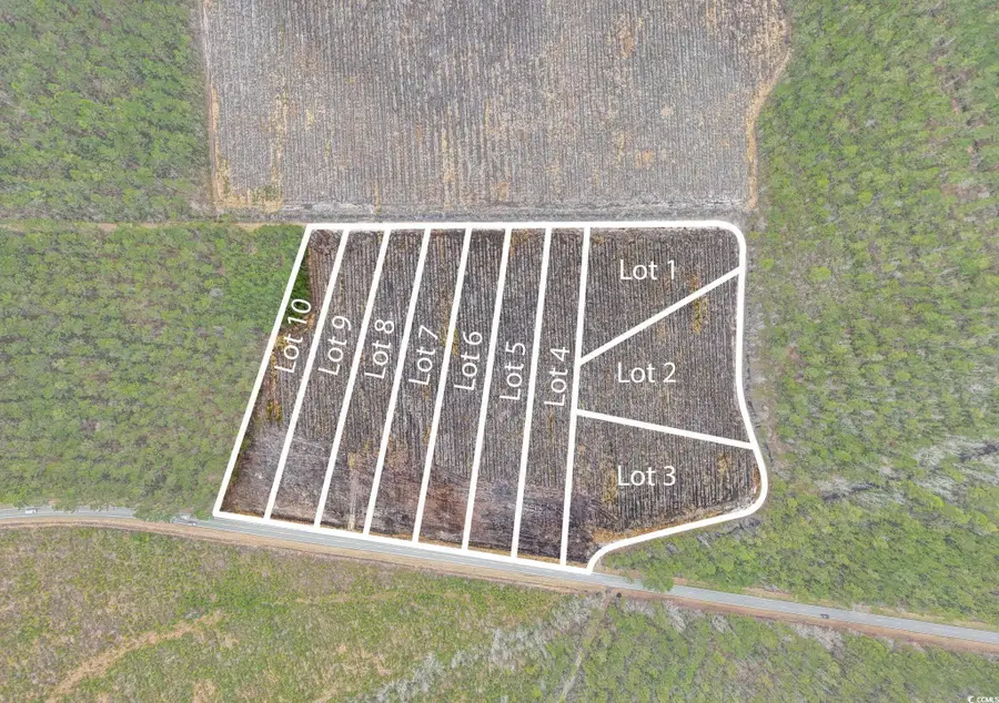 5570 Joyner Swamp Rd., Galivants Ferry, SC 29544 - #2