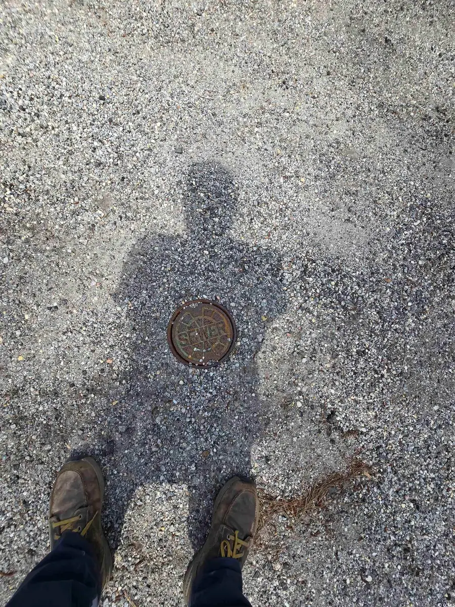 Lot 18 Cypress Knee Ct., Conway, SC 29526 - #3