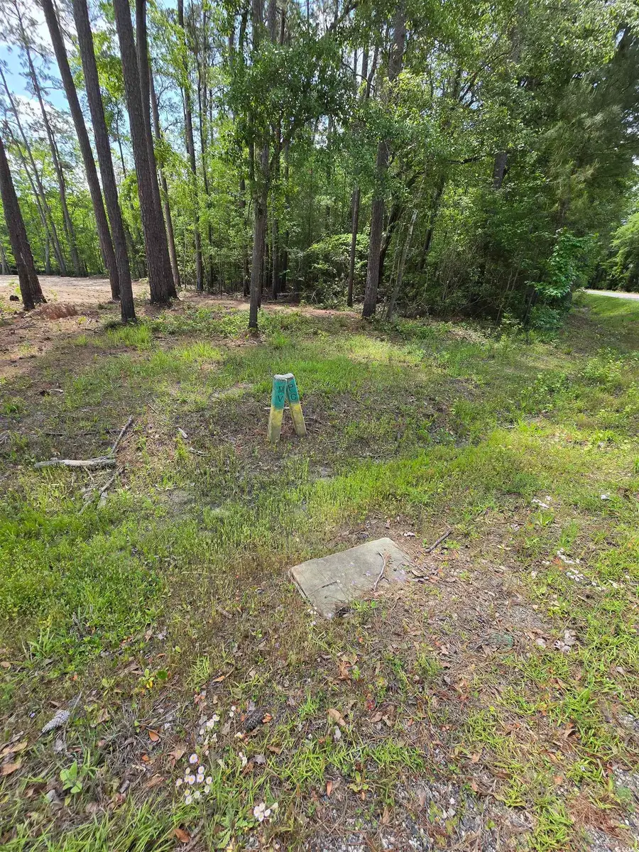 Lot 17 Rowe Pond Rd., Conway, SC 29526 - #3