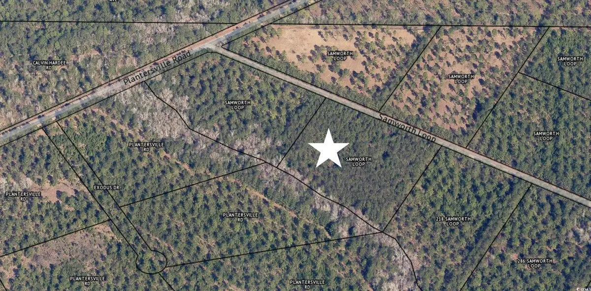 0 Samworth Loop, Georgetown, SC 29440 - Image #1