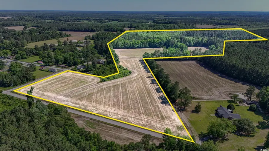 TBD Francis Gibson Rd., Centenary, SC 29519 - Image #2