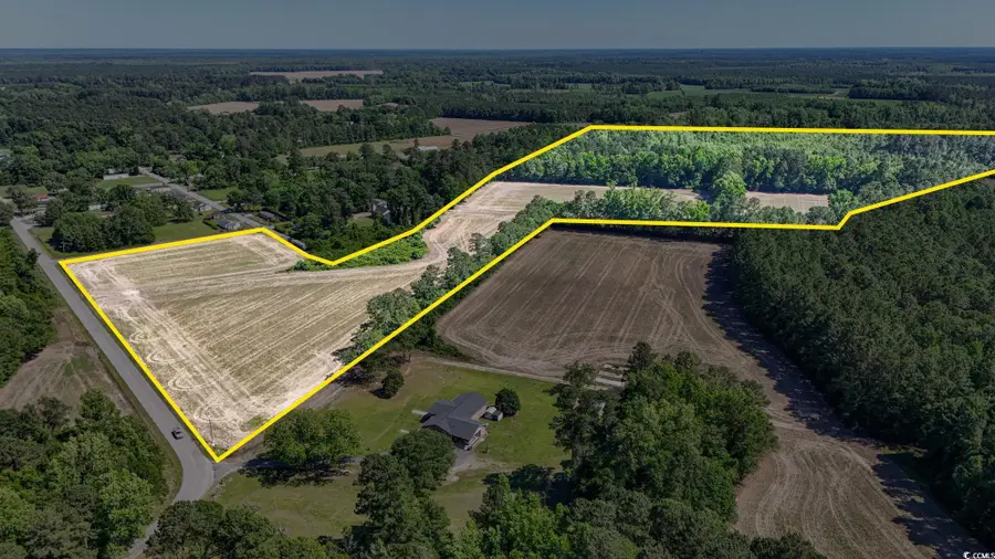 TBD Francis Gibson Rd., Centenary, SC 29519 - Image #3