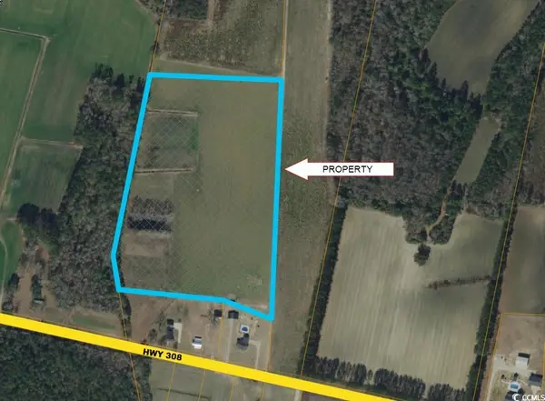 TBD Highway 308, Galivants Ferry, SC 29544