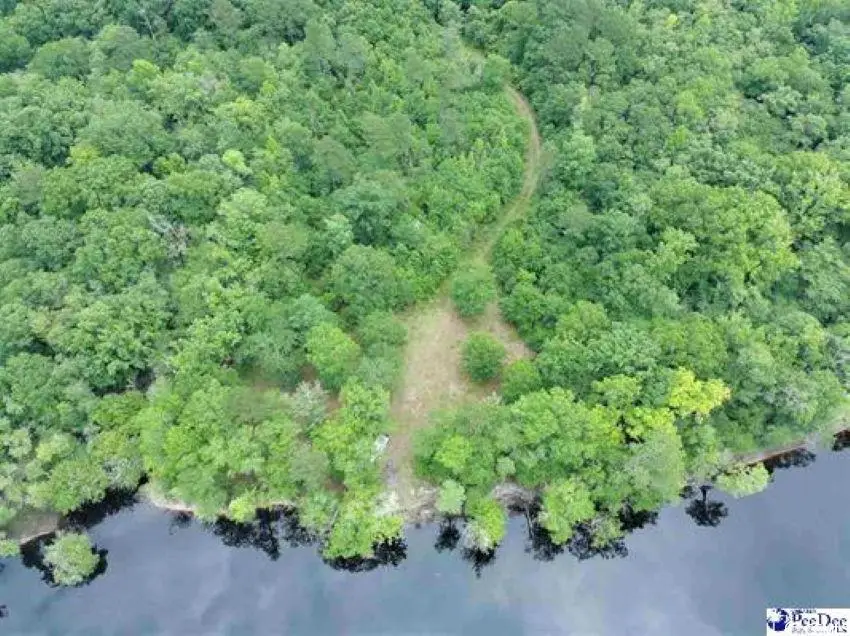 TBD Mcfarlin St., Kingstree, SC 29556 - #2