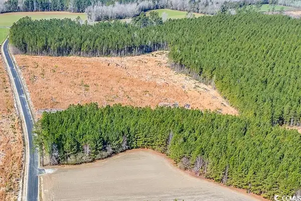 4791 Grainger Circle, Green Sea, SC 29545